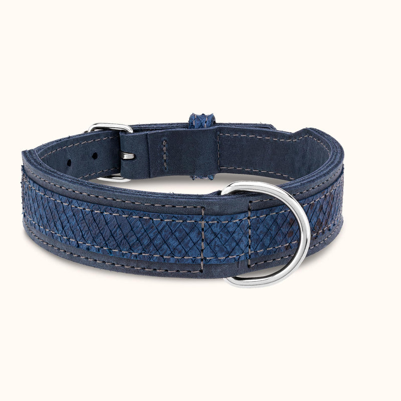 halsband-miramare-blau-leder-l-xl-xxl-hundehalsband-hundezubehoer