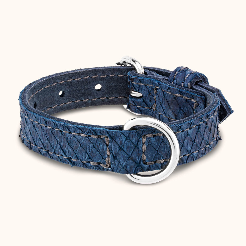 halsband-miramare-blau-leder-xxs-hundehalsbandleder-hundezubehoer