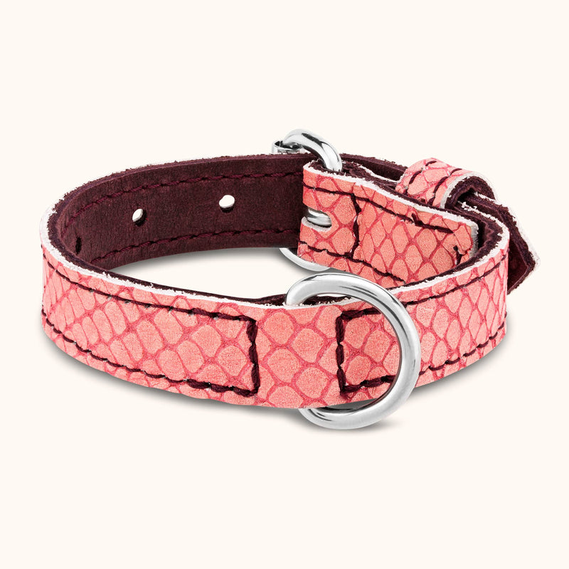 halsband-nuovo-rose-hundehalsband-leder-hunde-zubehoer