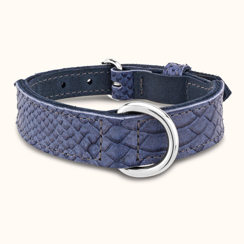 halsband-otranto-blau-hellblau-reptillook-prageleder-hundehalsbandleder-hunde-zubehoer